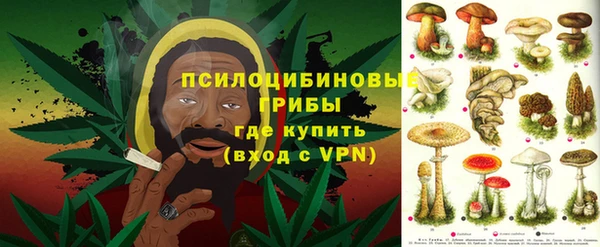 PSILOCYBIN Алексеевка