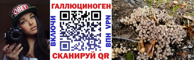 закладка  Петрозаводск  Псилоцибиновые грибы ЛСД 